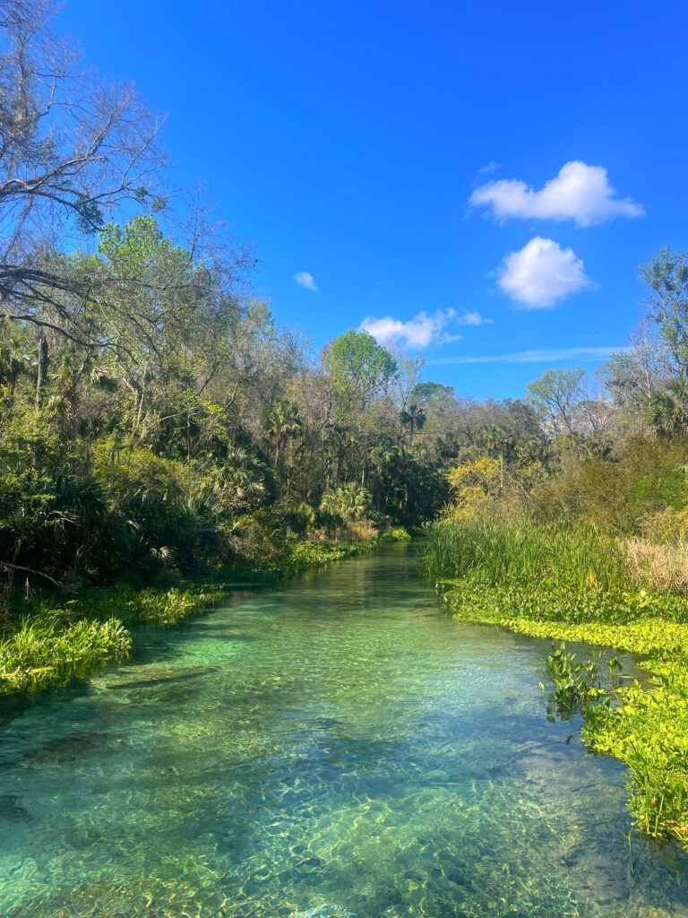 Florida - Kelly Springs