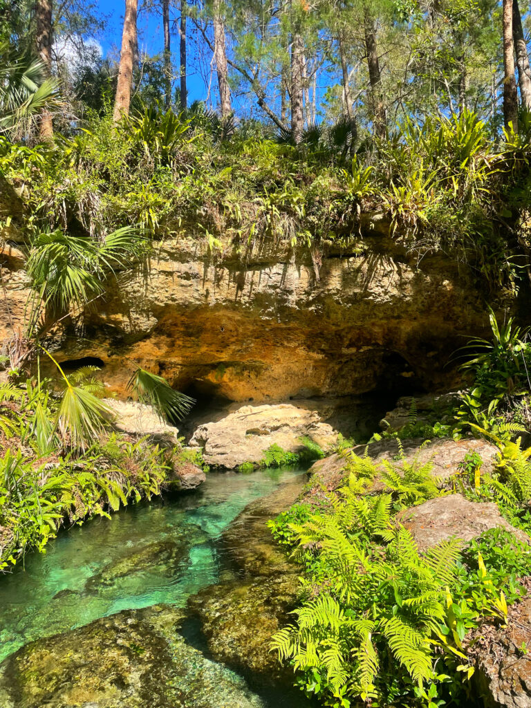 Florida - Kelly Springs